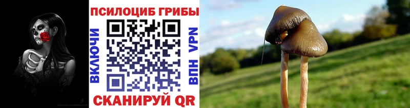 Псилоцибиновые грибы мицелий  как найти закладки  Пушкино 